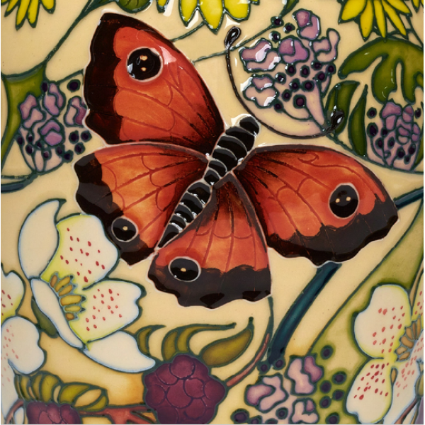Gatekeeper Butterfly - Pack of 5 - Greeting Card