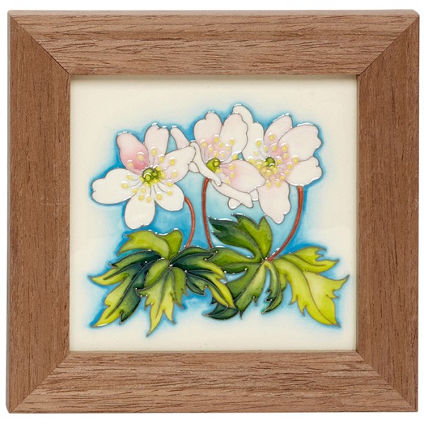 Wildflower Medley wood anemone - Plaque