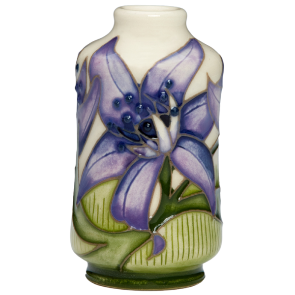 Spring Scilla - Vase
