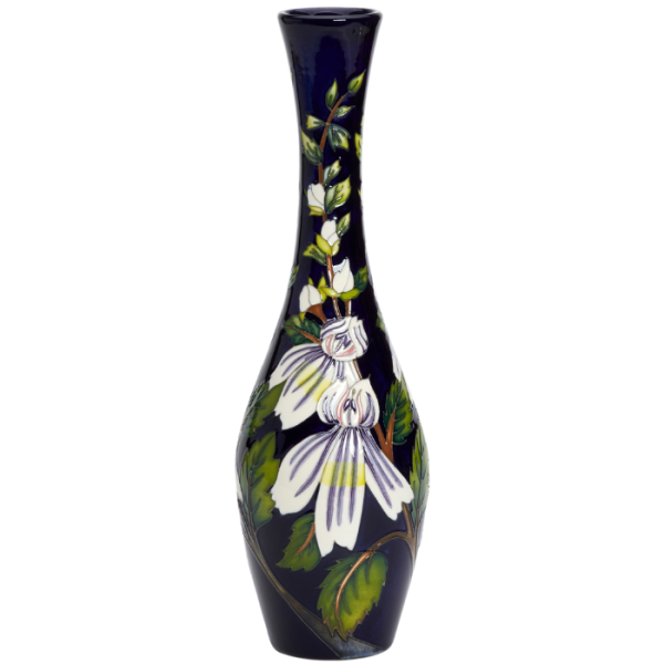 Eyebright - Number 1 - Vase