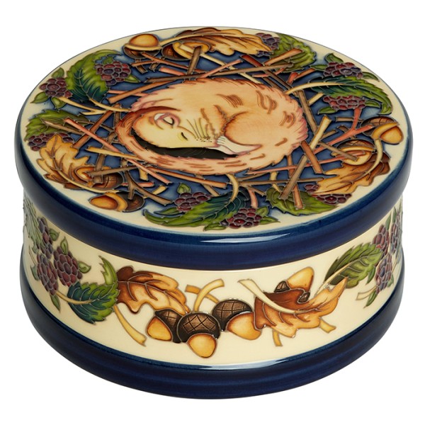 Safe Haven - Lidded Box