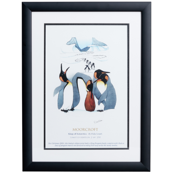 Kings of Antarctica Framed Print - Print