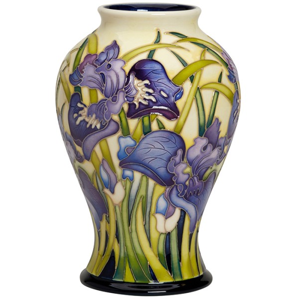 Perfect Vision  - Vase