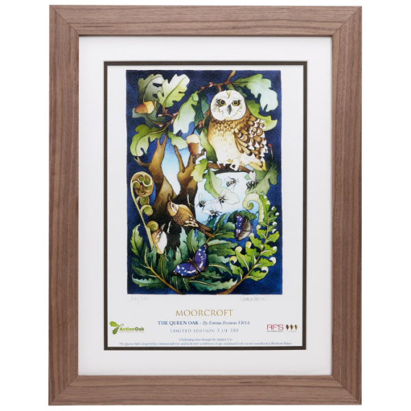 The Queen Oak Framed Print - Print