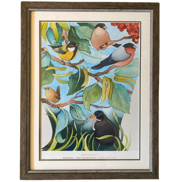 Avian Fantasia Framed Print - Print