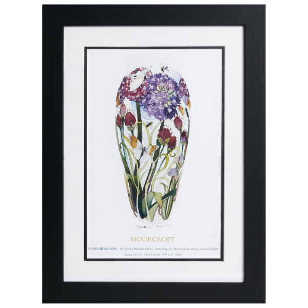 Peregrination Framed Print - Print