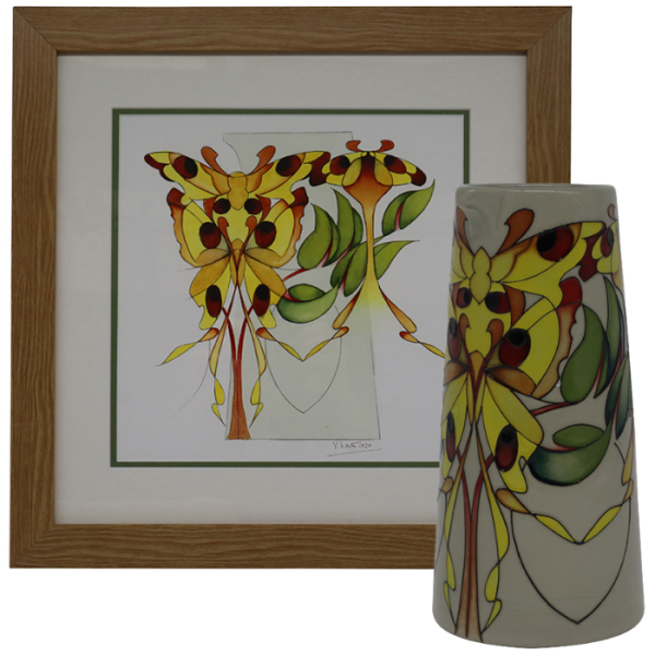 Cornet Moth - Jug + Watercolour