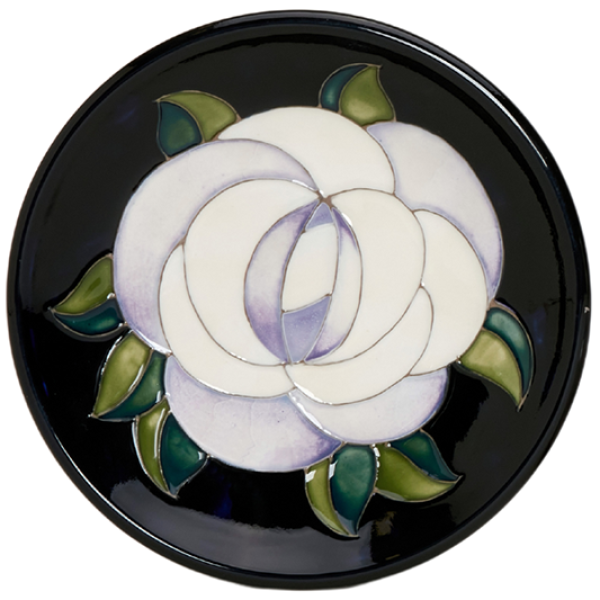Seconds White Rose - Tray