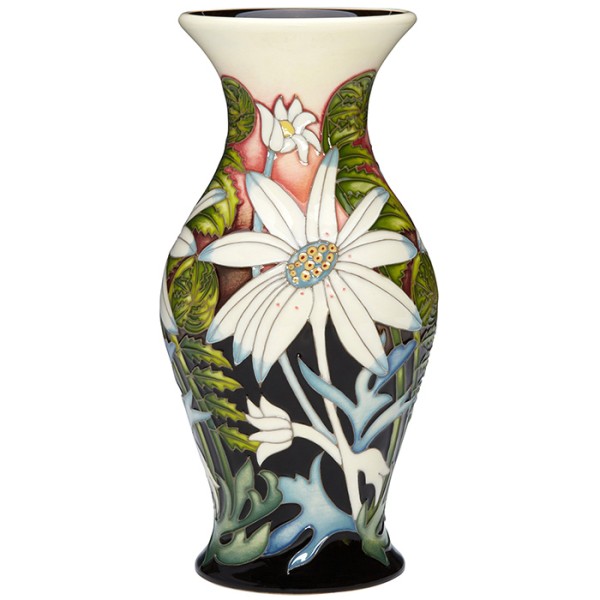 Flannel Flower - Vase