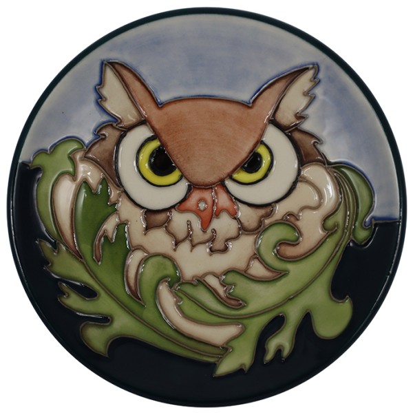 Great Eyed Owl - Trial - Tray