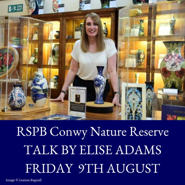 RSPB Conwy - Talk Ticket - Friday 9th August - Ticket