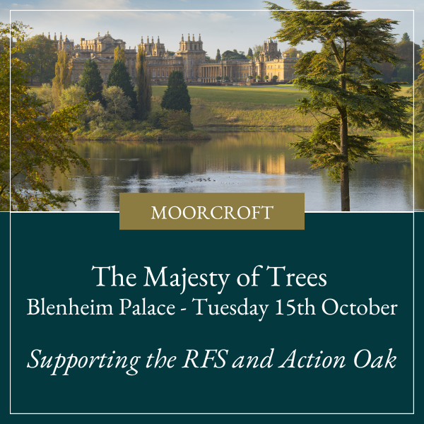 Moorcroft at Blenheim Palace – Tuesday 15th October